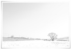 dailyPhoto8